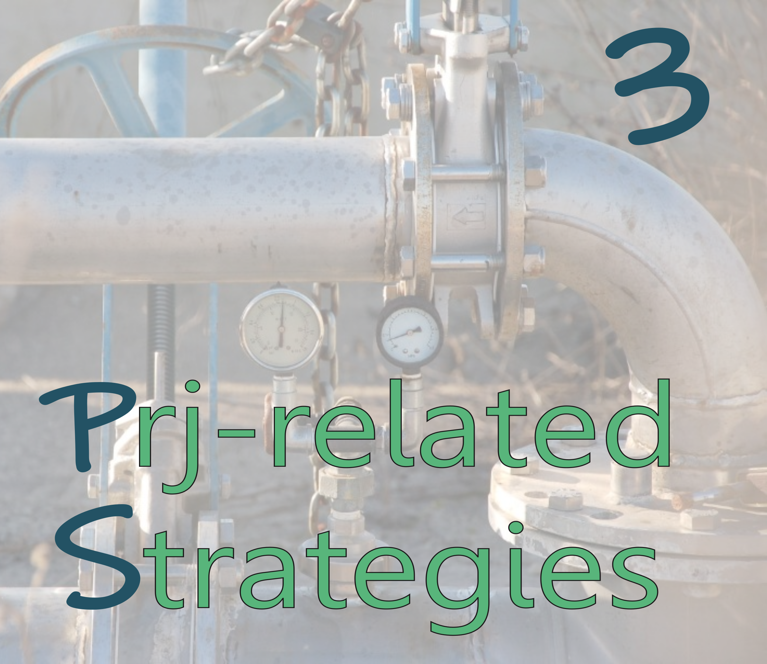 Project-related strategies